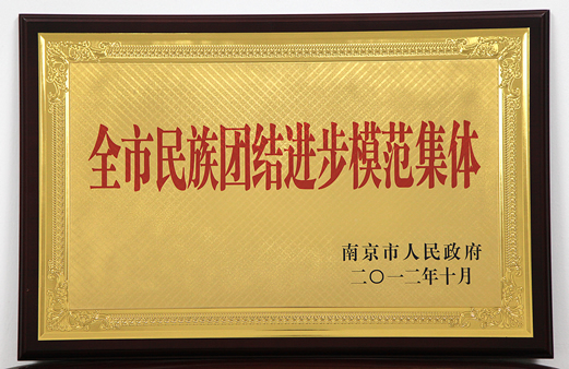 集团荣获“民族团结进步模范集体”称号